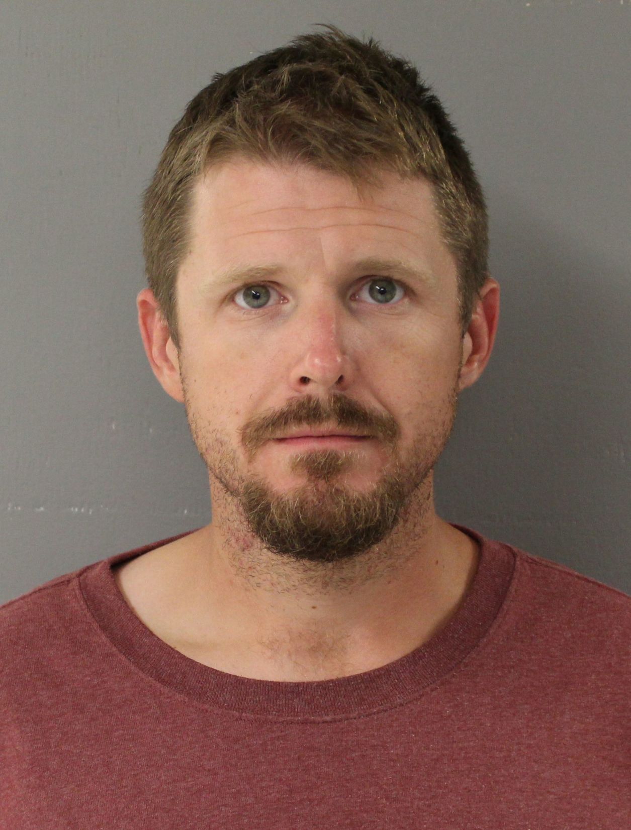 ANDREW DALE PAUL ANDERSON
